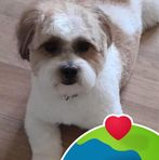 Profile Picture of Suzanne Malard (@suzanne.malard.18) on Facebook