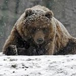 Profile Picture of Richard Bellingham (@bellinghamrichard) on Instagram