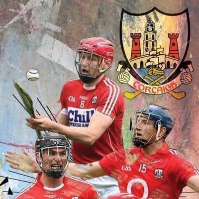 Profile Picture of Ray Forsythe (@RayForsythe3) on Twitter