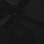 Profile Picture of Chris Steptoe (@steptoe.chris) on Instagram