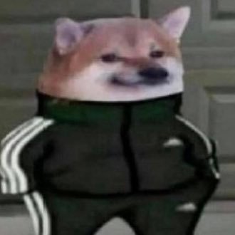 Profile Picture of Nate (@NateLeal2) on Twitter