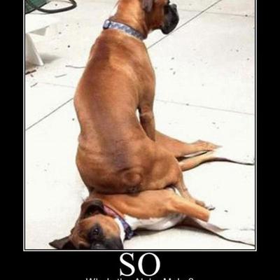 Paige Winkler - Twitter Profile Picture of Paige Winkler (@pwinkler123) on Twitter