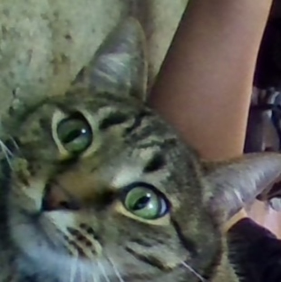 Profile Picture of Joseph Kruger (@joseph_kruger) on Poshmark