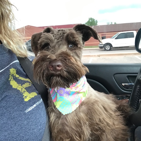 Profile Picture of Stacy Crouch (@staycie1975) on Poshmark