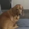 Profile Picture of Kevin Prevost233 (@kevinprevost23) on Tiktok