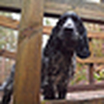 Profile Picture of Floweredup (@floweredup) on Flickr