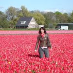 Profile Picture of Krystel Azzam (@krysaz) on Instagram