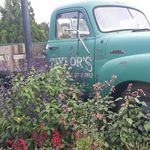 Profile Picture of Robin Taylor (@robinshouse22) on Instagram