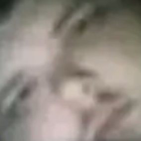 Profile Picture of Steven Sam (@RingleBingle123) on Twitter