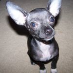 Profile Picture of Kim Heyer (@kimheyer1965) on Instagram