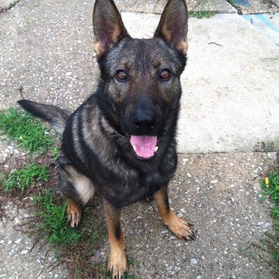 Profile Picture of Kevin Garber (@120kgarber) on Twitter