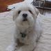Profile Picture of Andrew Goh (@andrew.goh.1042) on Facebook