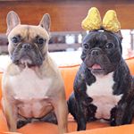 Profile Picture of Aimée ❤️ Adam Bull's (@aimee_adambull) on Instagram