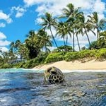 Vincent Armstrong - Instagram Profile Picture of Vincent Armstrong (@armstrong_vincent) on Instagram