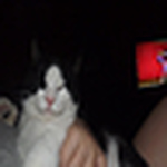 Profile Picture of Faith Smith (@faith:)ann) on Flickr