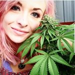 Profile Picture of Carly Boston (@concentratecarl) on Instagram