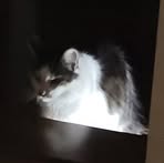 Profile Picture of Jan Stukus (@Jan-Stukus) on Facebook