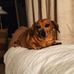 Profile Picture of Loretta Lemon (@loretta.lemon.9) on Facebook
