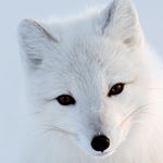 Profile Picture of Gabriel Manzano (@gabrielmzo487) on Instagram