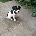 Profile Picture of Gayle Richardson (@gayle1965richardson) on Instagram