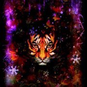 Profile Picture of Dann Lovelace (@dann.lovelace) on Myspace