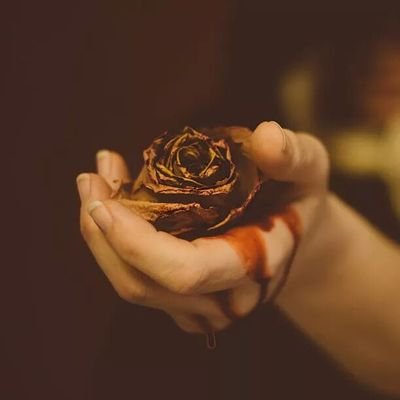 Profile Picture of Yusra Hussein (@YusraHussein6) on Twitter