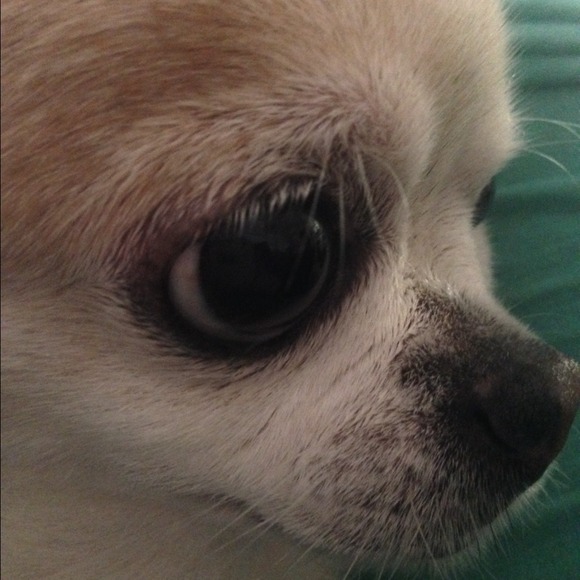 Profile Picture of Sachiko Uchida (@sachikouchida) on Poshmark