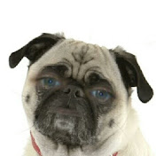 Profile Picture of Brandon Abbott (@brandonabbott9051) on Youtube