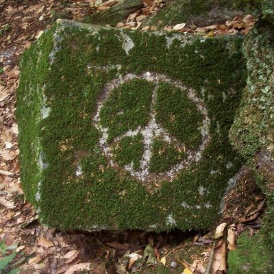 Joseph Skrobak - Twitter Profile Picture of Joseph Skrobak (@6ftpk) on Twitter