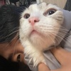 Profile Picture of Jeff Yang (@@jeffyangxw) on Tiktok