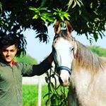 Profile Picture of Shah Jeet (@shahjeet220) on Instagram