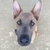 Profile Picture of Tracy Thacker (@tracy.thacker.14) on Facebook