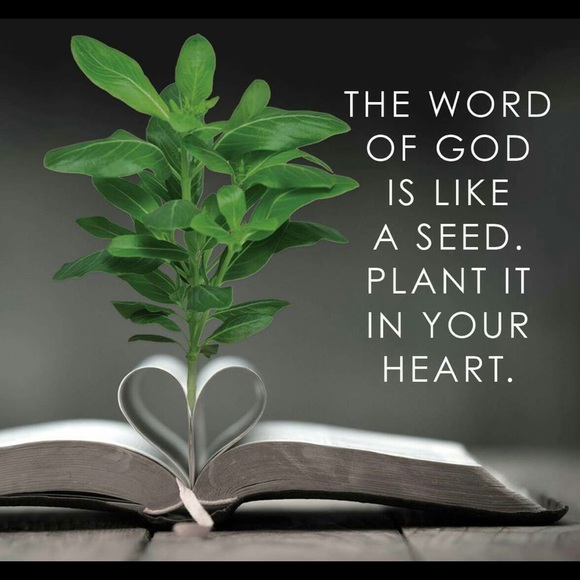 Profile Picture of Stevenson Pullagura (@stev2) on Poshmark