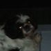 Profile Picture of Leonard Davidson (@leonard.davidson.7568) on Facebook