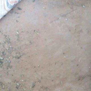 Profile Picture of Bittu Bugalia G Bitty (@bittubugaliag.bitty) on Facebook