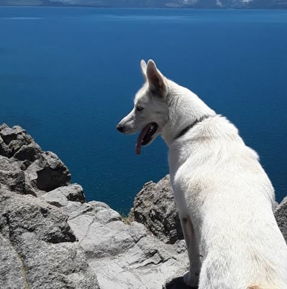 Profile Picture of Dustin Goralski (@dustingoralski) on Poshmark