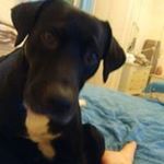 Profile Picture of Thomas Cioffi (@cioffi.thomas) on Instagram