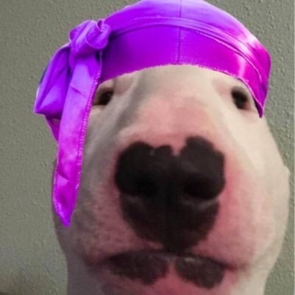 Profile Picture of Frosty Cone (@frostyscones) on Poshmark