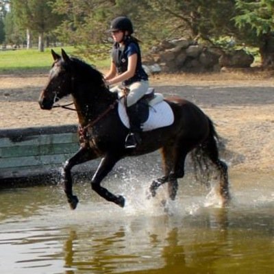 Profile Picture of Gillian Handley (@gillianspirit) on Twitter