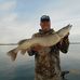 Profile Picture of Gary Willems (@Gary-Willems) on Facebook