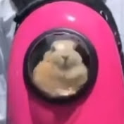 Profile Picture of Ava Kennedy (@avakennedy2474) on Youtube