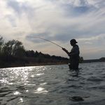 Profile Picture of Steve Mazzoni (@steveonthefly) on Instagram