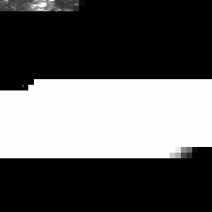 Profile Picture of Toriana Concepcion (@concepcion101) on Myspace