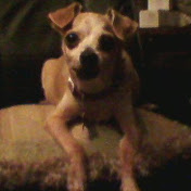 Profile Picture of Dawn Pressley (@dawnpressley3585) on Youtube