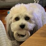 Lucas Mathison - Instagram Profile Picture of Lucas Mathison (@lucas_mathison) on Instagram