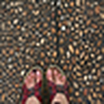 Profile Picture of Jeff Nguyen (@jeff.nguyen) on Flickr