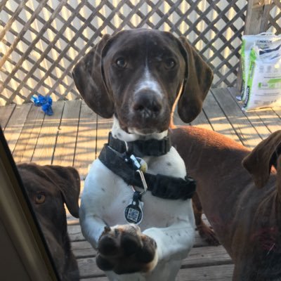 Profile Picture of Ellen Reilly (@ellenre35574615) on Twitter