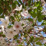 Profile Picture of Mika Saeki (@mika.saeki.7503) on Facebook