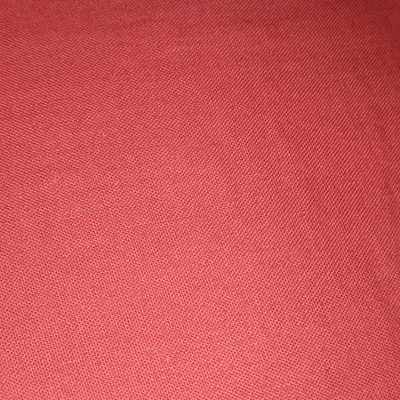 Profile Picture of Eva Padron (@EvaPadron6) on Twitter