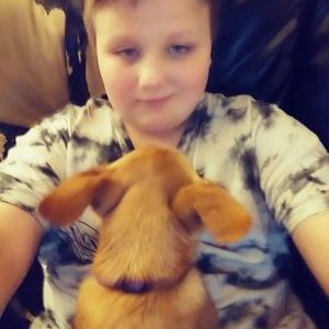Profile Picture of Luke David Jackson (@LukeDavidJacks1) on Twitter